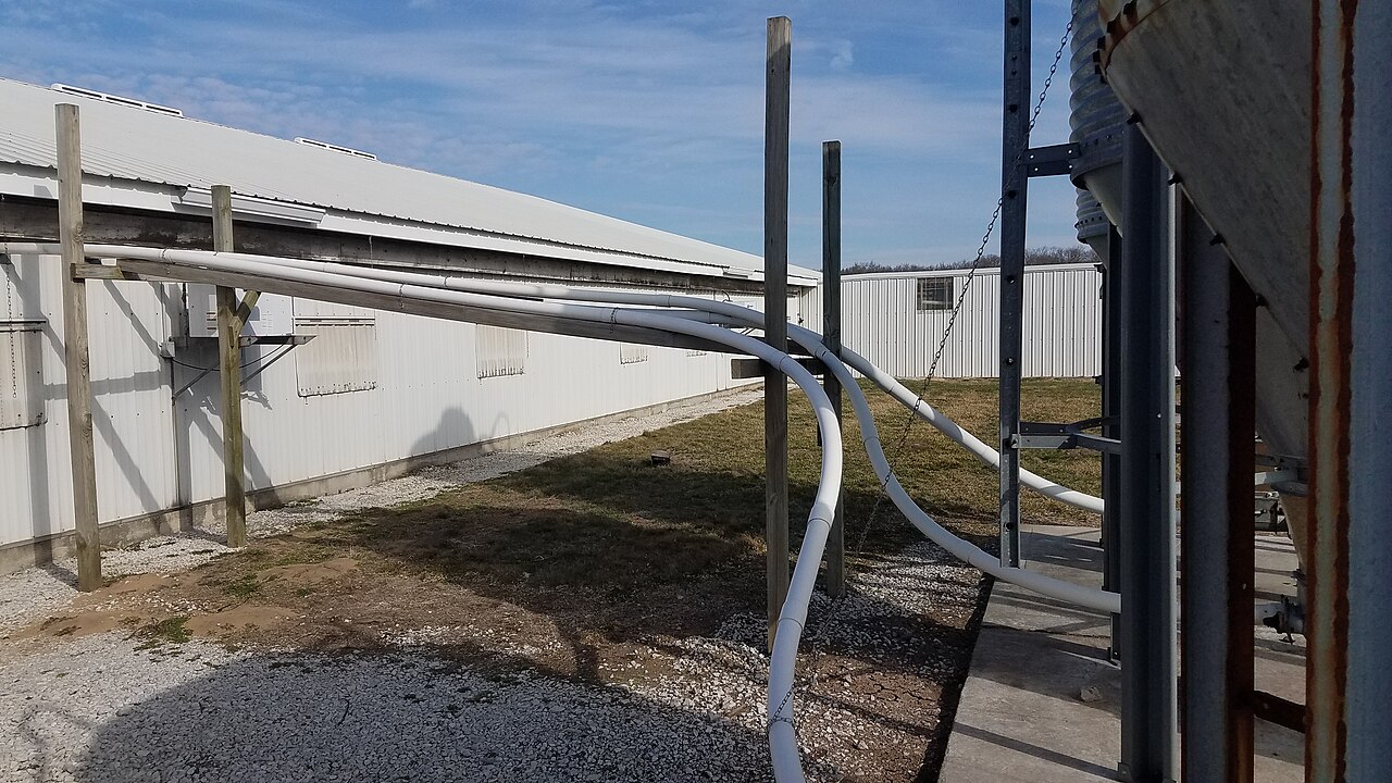 Linhas flexíveis de rosca transportadora em instalação industrial